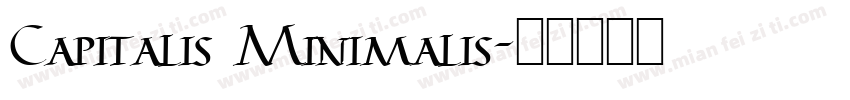 Capitalis Minimalis字体转换